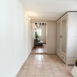 Amazing